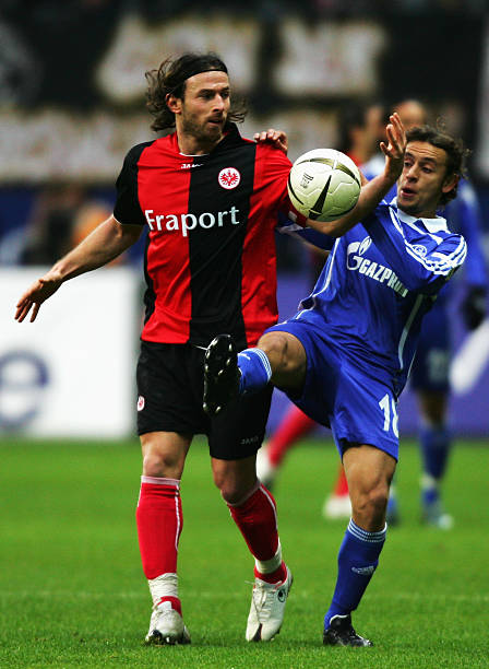 的策略显然 的策略显然