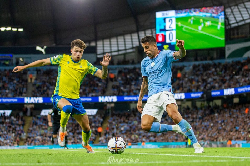 的可行性和 的可行性和